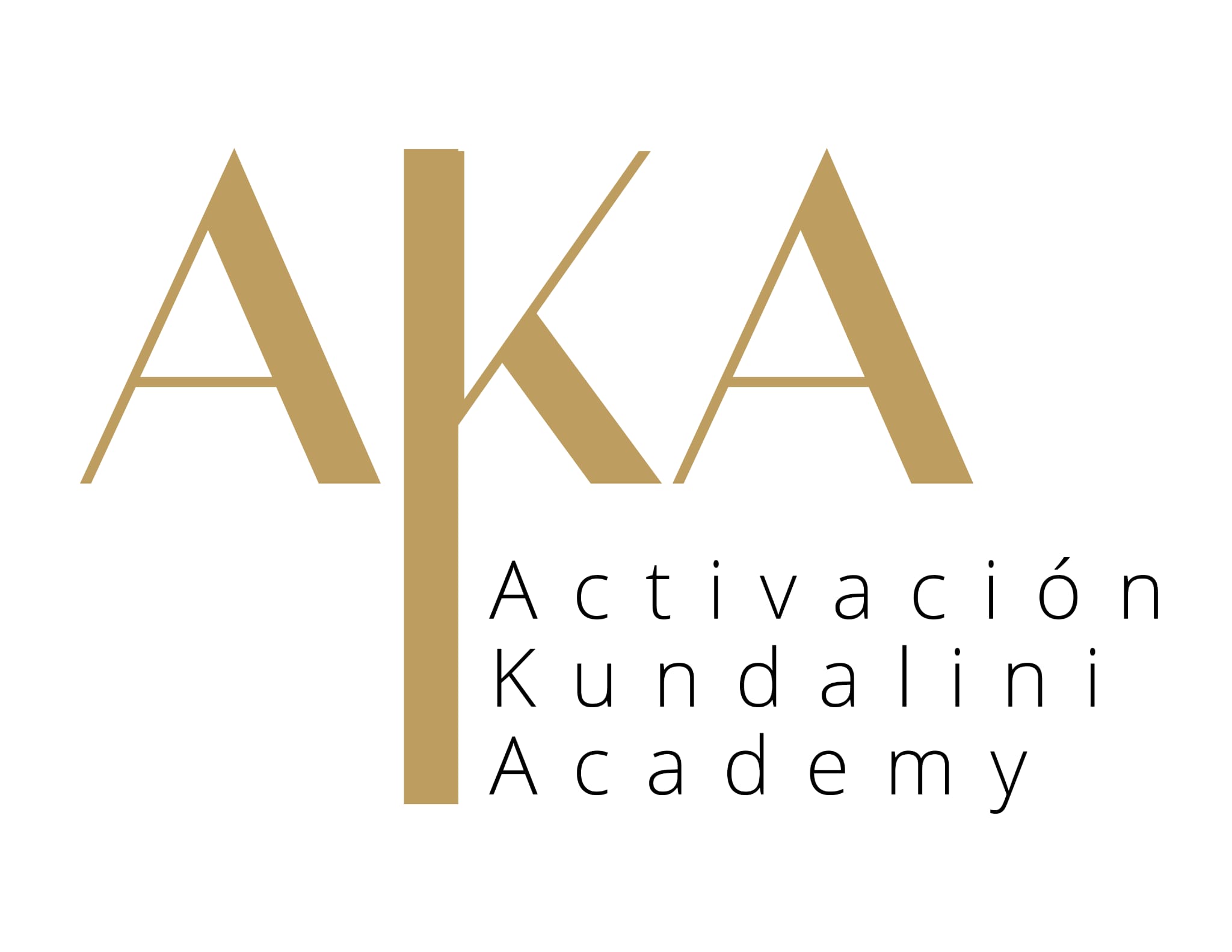 AKA Academy logo